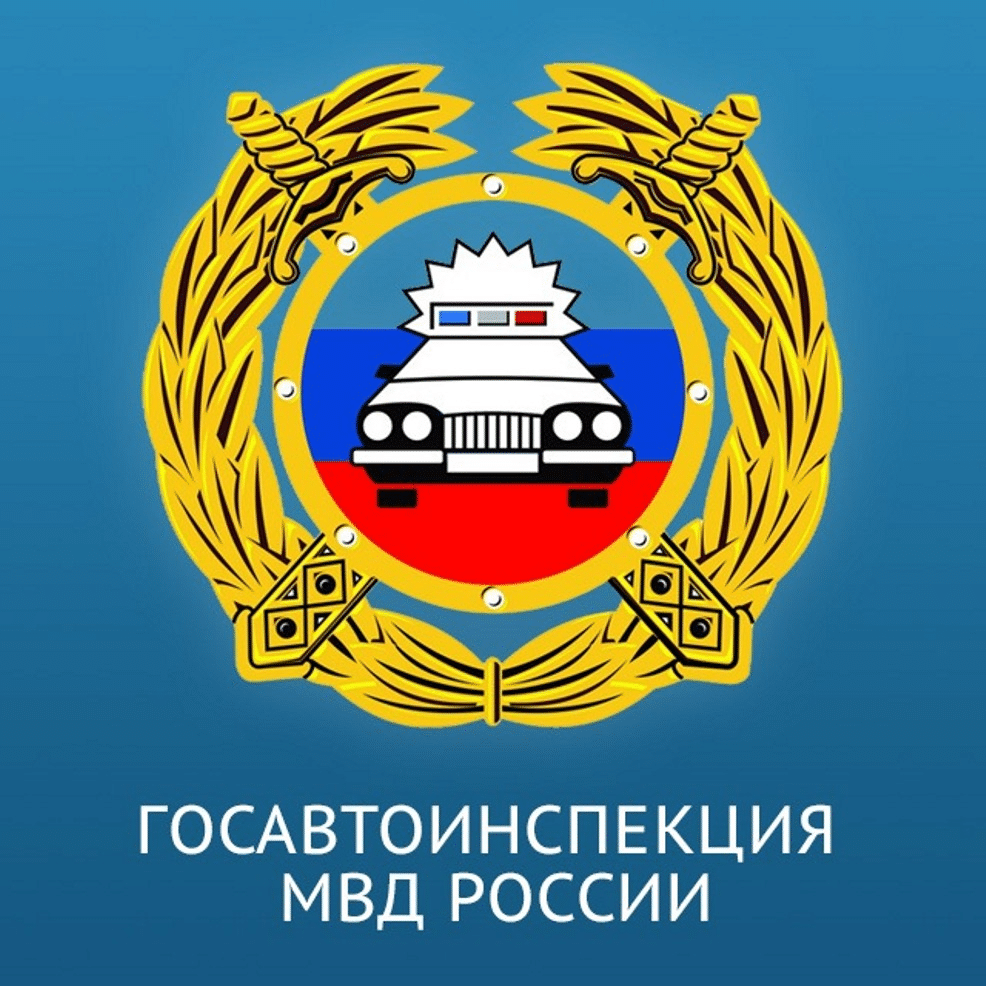 проект организации дорожного движения